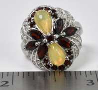 Sterling Silver Ring with Garnet and Opalescent Material