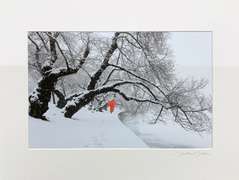 Matted DC Photograph Signed