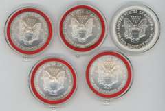 5 Diff. Gem BU $1 American Silver Eagles in holders 1993-2007