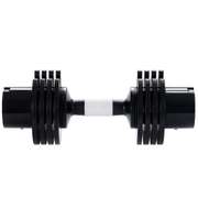 50 Lbs Dumbbell Strength Training Body Workout