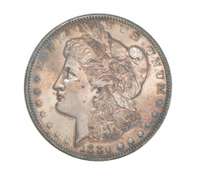 1880-S Morgan Silver Dollar - Great Tone
