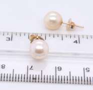 Simple Yellow Gold 7.5mm Pearl Stud Earrings