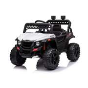 Children's Full Size Electric Car