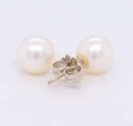 Tiffany & Co Ziegfeld 7.5mm Pearl Cultured Pearl Earrings