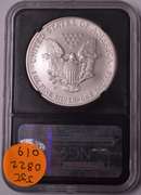 2007-W Burnished Silver Eagle NGC MS69