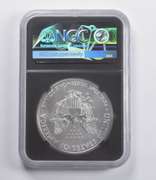 MS70 2018-W American Burnished Silver Eagle FDOI NGC