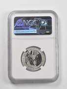 PF70 Reverse 2007-W $50 American 1/2 Oz Platinum Eagle Anv Set NGC