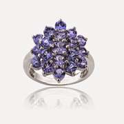 Sterling Silver 2.5ct TGW Tanzanite Flower Ring