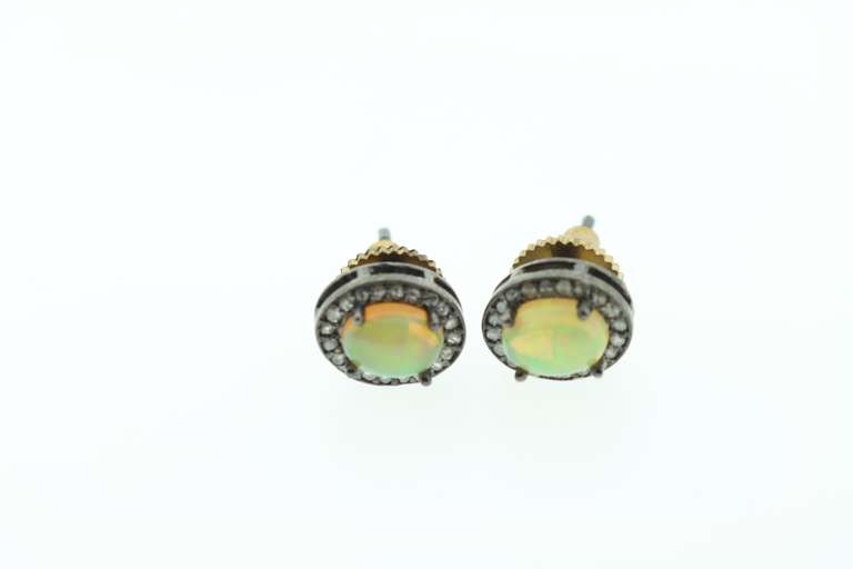 Tender Opal Earrings with Diamond Encrusted Dark Silver