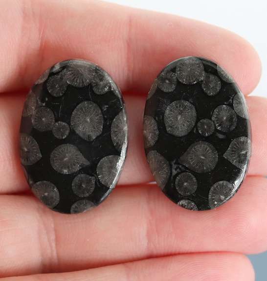 Stylish pair of 44.03ct Moroccan Black Coral