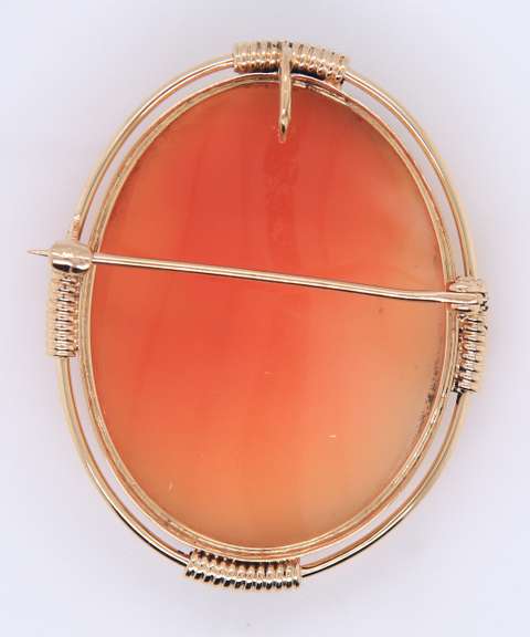 Pleasing Yellow Gold Carved Shell Cameo Pin