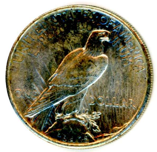 1925 Peace Silver Dollar