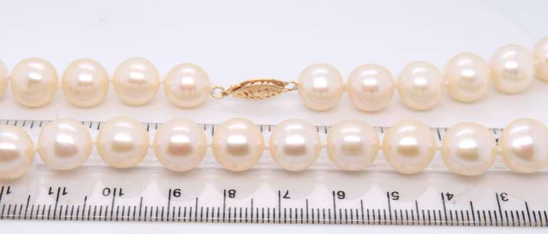 Fresh Water Pearl Necklace with Gold Clasp