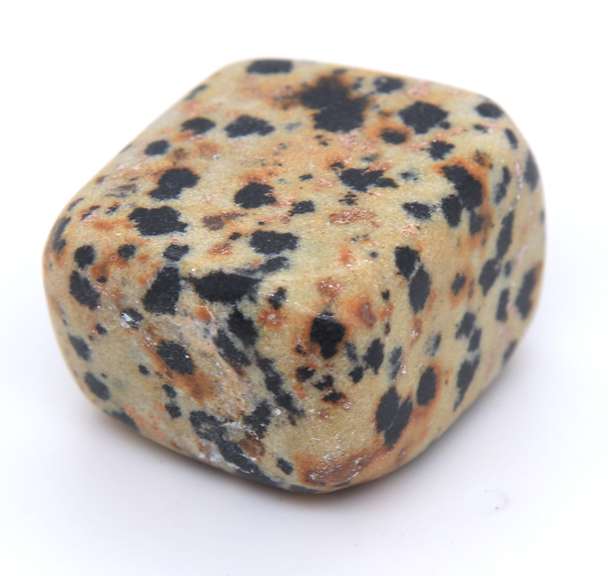 Dalmatian Stone Mexico
