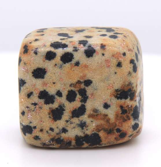 Dalmatian Stone Mexico