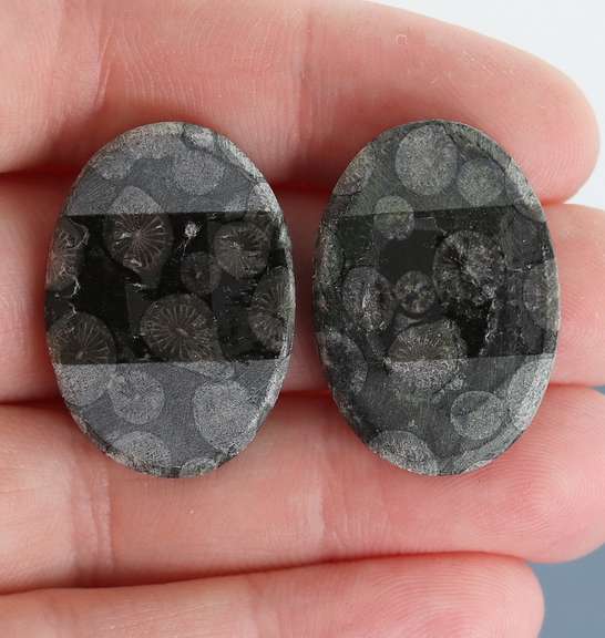 Stylish pair of 44.03ct Moroccan Black Coral