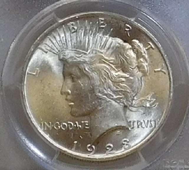 1923 Peace Dol PCGS MS-63 toning spots on Rev
