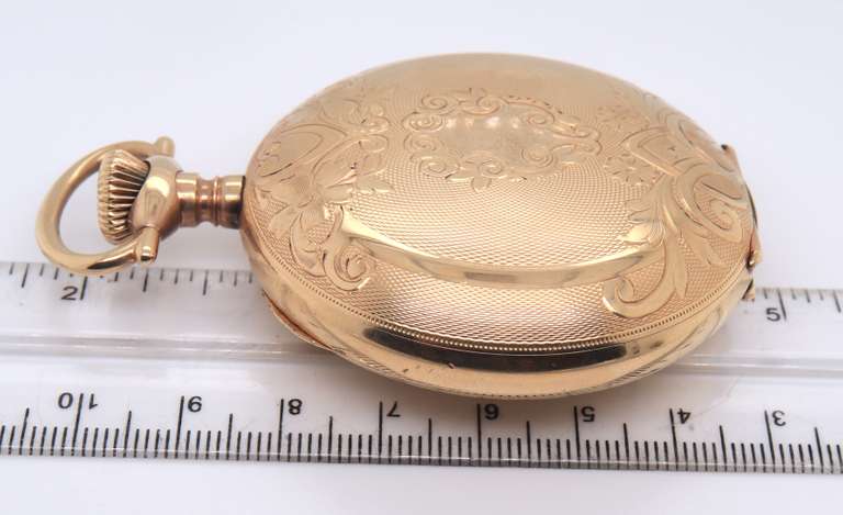 Elgin Gold Plated Automatic Pocket Watch