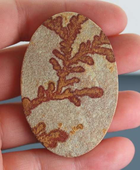 Collectors 110ct German Psilomelane Dendrite