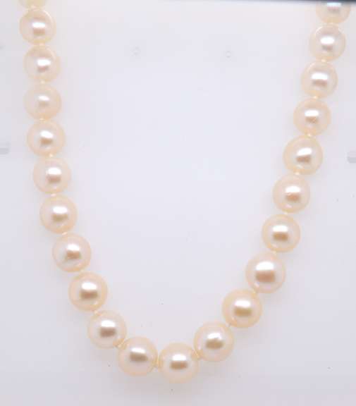 Fresh Water Pearl Necklace with Gold Clasp