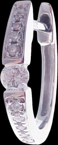 Illustrious Diamond Studded 18k White Gold Horseshoe Earrings