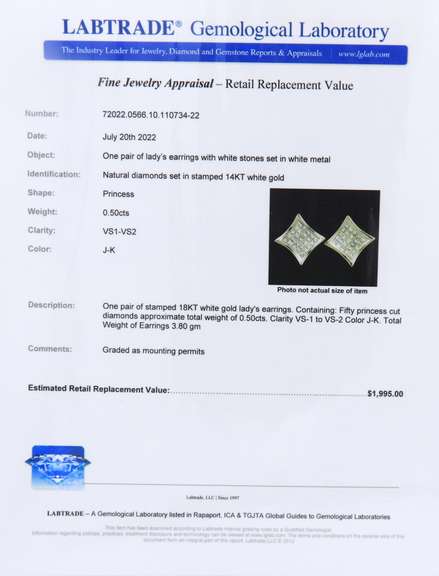 Divine White Gold Invisible Set Princess Cut Diamond Earrings