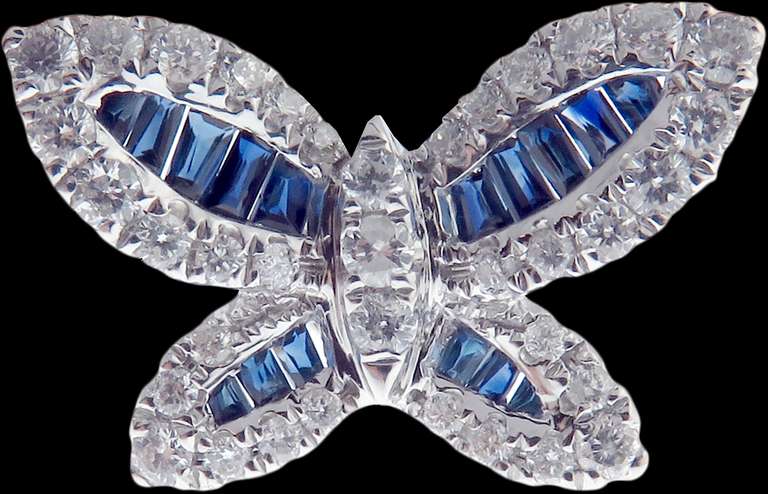 Darling 18kt White Gold Diamond and Sapphire Butterfly Studs