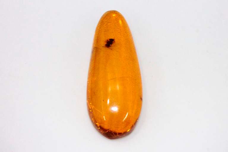 Natural Amber with Encased Bee