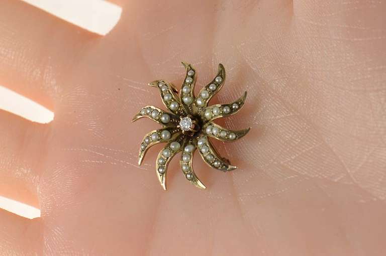 10K Yellow Gold Victorian Seed Pearl Diamond Sun Flower Pin/Brooch