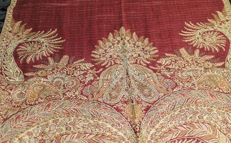 A Very Unique Design Lady's Scarf