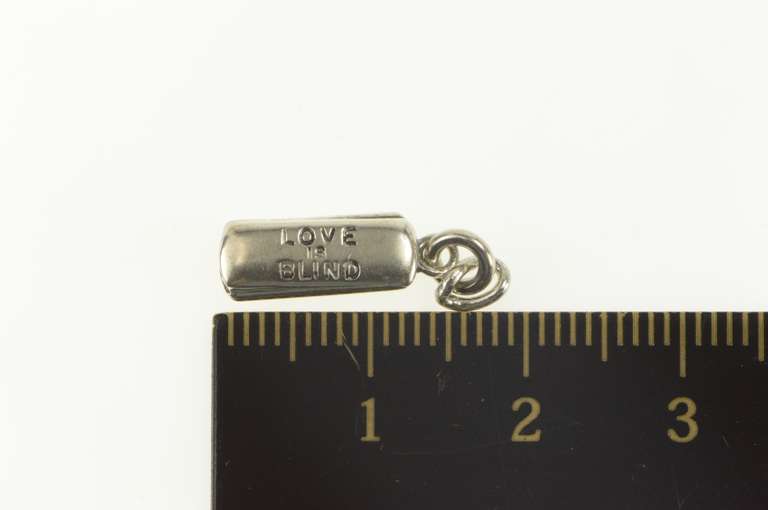 Sterling Silver Love is Blind Articulated Glasses Case Charm/Pendant