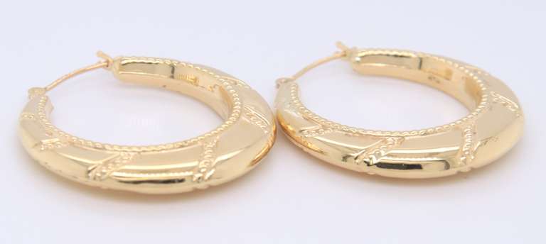 Amazing Yellow Gold Hoop Earrings