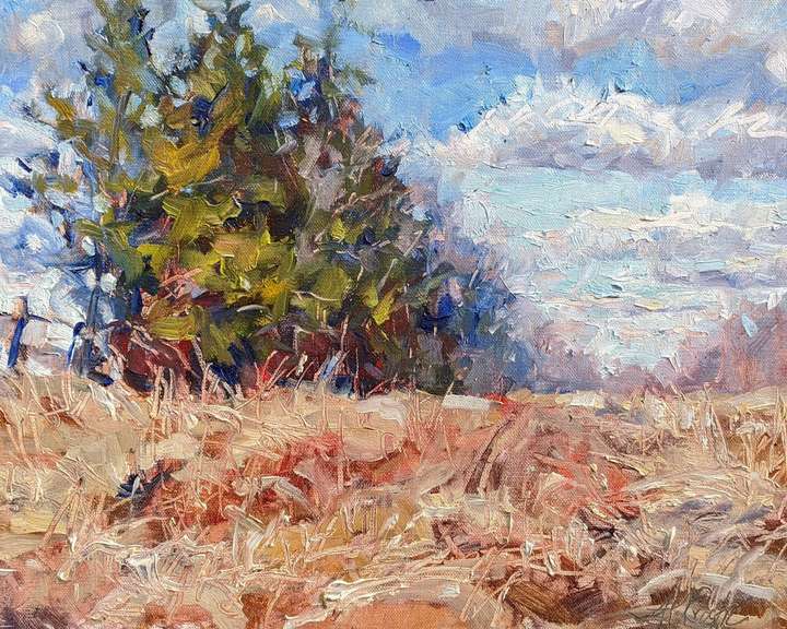 Pines and Winter Grasses Original Art by Ann Crostic