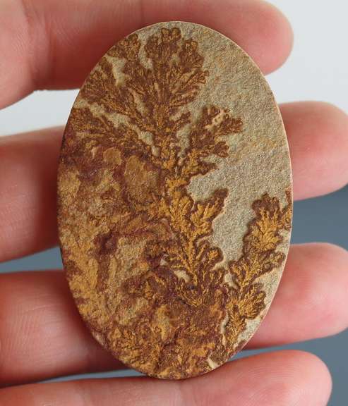 Tremendous 106.87ct German Psilomelane Dendrite
