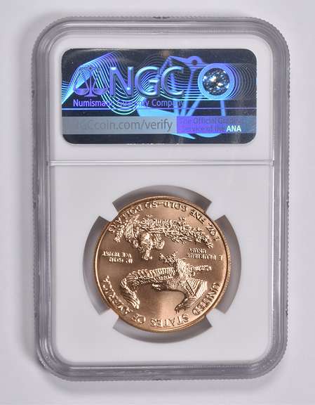 MS70 1996 $50 American Gold Eagle 1 Oz. .999 Fine Gold NGC