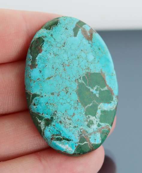 Huge! 58.5ct well marbled robbins egg blue Turquoise
