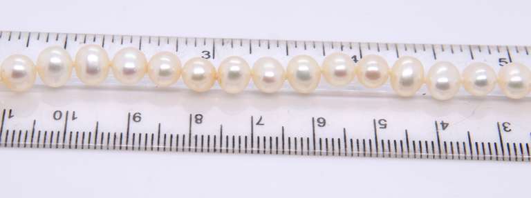 Fresh Water Pearl Necklace