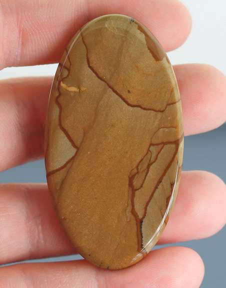 Huge 89.06ct untreated Samsonite cabochon