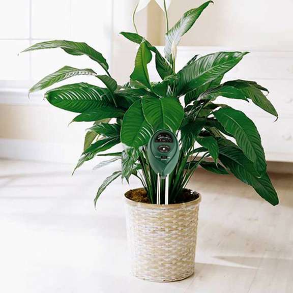 3 In 1 Soil Tester Water PH Moisture Light Test