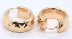 Fantastic Yellow Gold Hoop Earrings