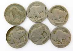 6 U.S. Buffalo Nickels, All 1913-D