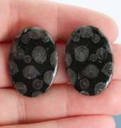 Stylish pair of 44.03ct Moroccan Black Coral