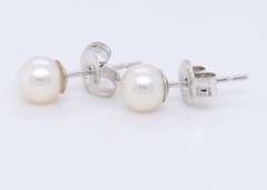 14kt White Gold 5mm Fresh Water Pearl Stud Earrings