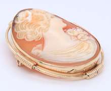 Pleasing Yellow Gold Carved Shell Cameo Pin