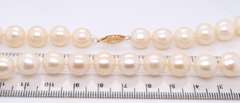 Fresh Water Pearl Necklace with Gold Clasp