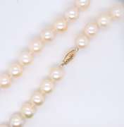 Fresh Water Pearl Necklace with Gold Clasp