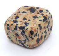 Dalmatian Stone Mexico