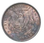 1880 Morgan Silver Dollar Toned Great Color!