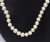 Fresh Water Pearl Necklace