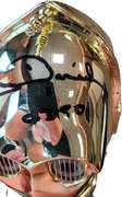 Anthony Daniels Signed Star Wars See-Threepio C-3PO Mini Helmet Official Pix ACOA